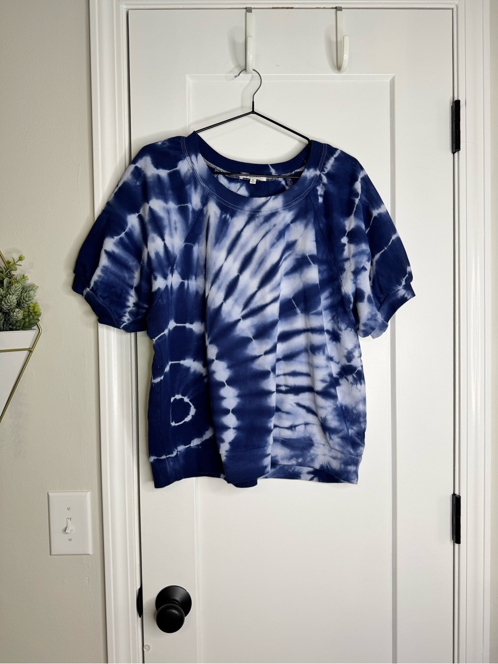 Z Supply Short Sleeve Terry Sweatshirt